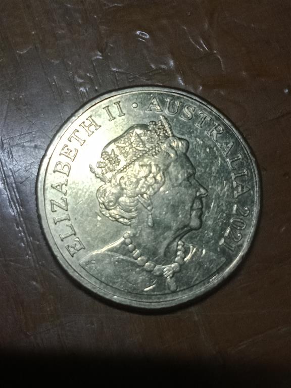 The-Big-Noodle:-Australian-1-Dollar-Coins